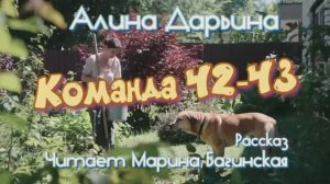 Алина Дарьина _Команда 42-43_ рассказ Читает Марина Багинская