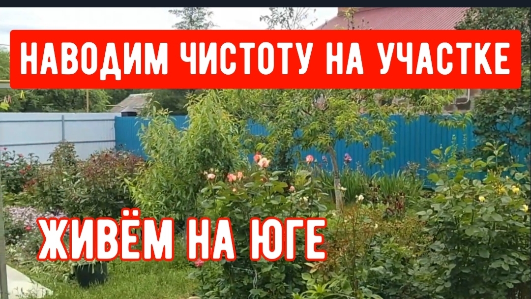 273🏡Наводим чистоту на участке после дождей/Закрыли черешню/Уже своя картошка смотреть онлайн
