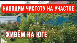 273🏡Наводим чистоту на участке после дождей/Закрыли черешню/Уже своя картошка