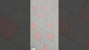 гуляю