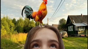 я у бабушки 3 часть 🐷