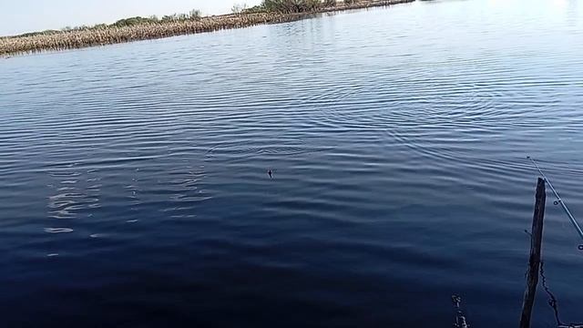рыбалка