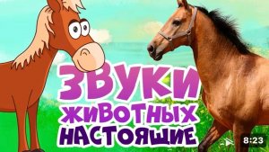 Звуки животных