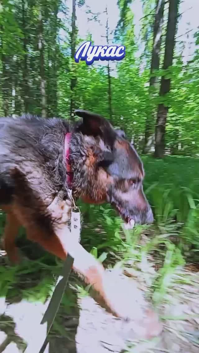 "Неожиданно... Уж!!!" ❥ Приют в Малинках