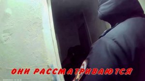 черт126