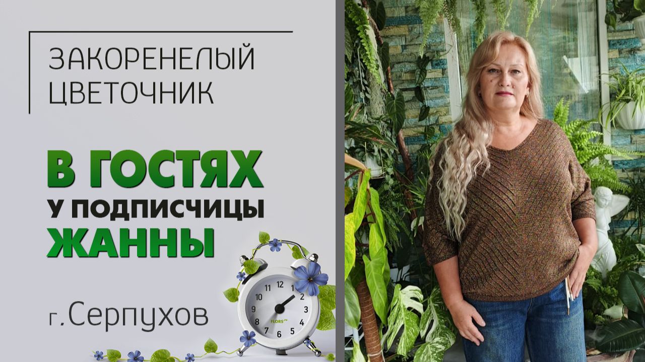 В гостях у Жанны. Г. Серпухов. Зимний сад, пруд, ампельные, филодендроны, хойи, домашние питомцы. смотреть онлайн