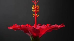 Обсуждение Тема № 3 Сущность греха уверенность в спасении