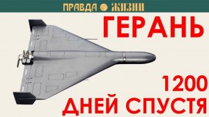 Герань три с половиной года спустя (Канал Правда Жизни)
