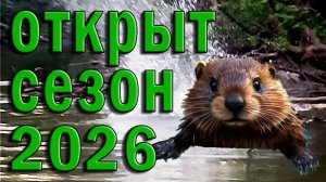 Сплав на сапе Открытие сезона 2026 Бобры ондатры утки