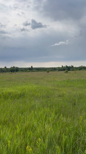 Кумысная Поляна Лаундж