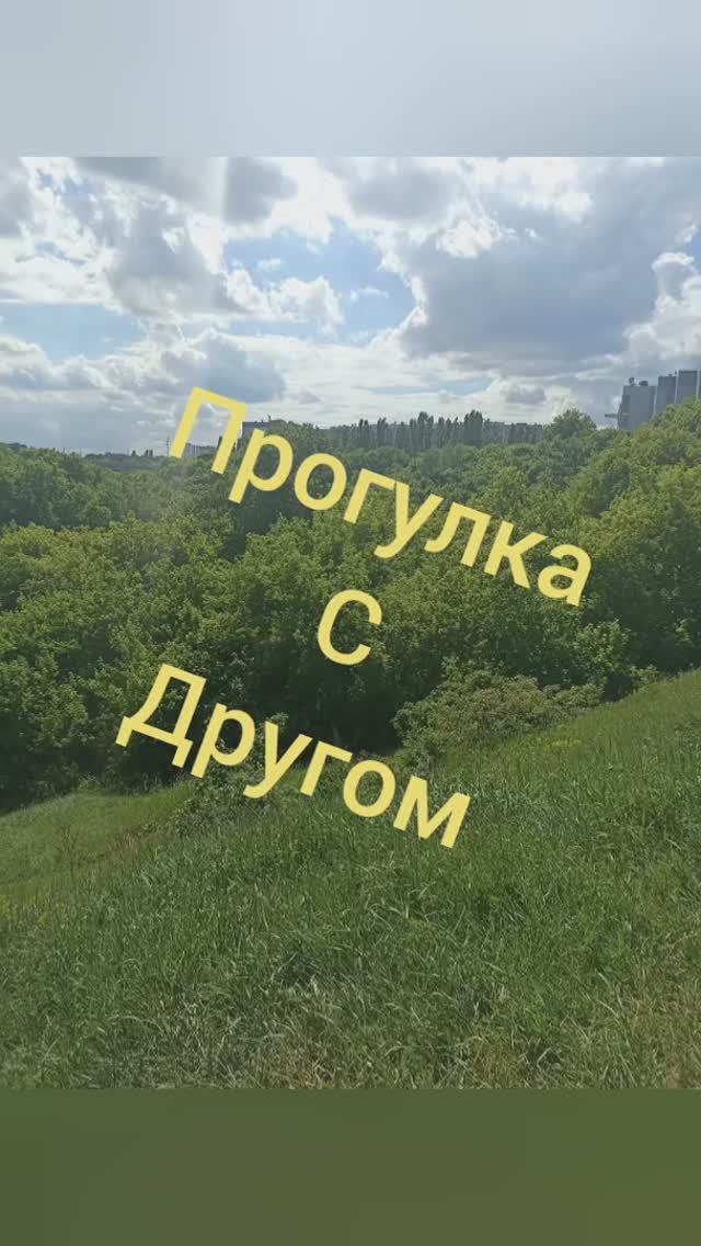 гуляем с другом! смотреть онлайн