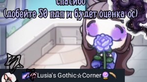 🪶Спасибо за 41 пдп🔮
