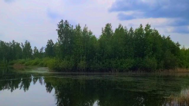 05-06-2026 вечер в снт 4