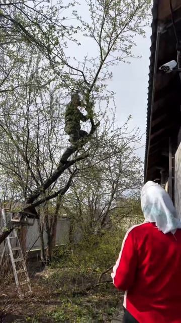 Начало мая