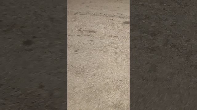Иду под дождём в магазин смотреть онлайн