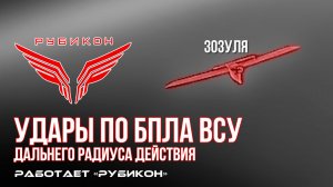 Удары по БпЛА ВСУ дальнего радиуса действия