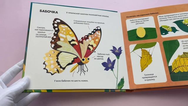 Насекомые. Тактильная книга-панорамка