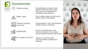 Это ВСЕ НУЖНО ЗНАТЬ об ирисах!