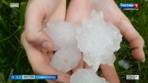 На Ставрополье непогода повредила более 100 тысяч гектаров посевов