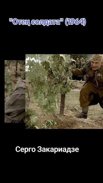 Отец солдата