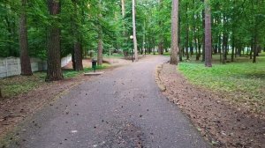 ВЕЧЕРНЯЯ ПРОГУЛКА И ДИСКОТЕКА