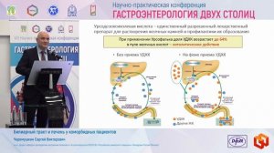 Черемушкин Сергей Викторович Билиарный тракт и печень у коморбидных пациентов