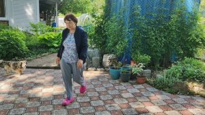 Крашу 2 года пеньки, дождь, град и ветер.