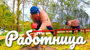«Жизнь в деревне» Пробую тофу.По магазинам.