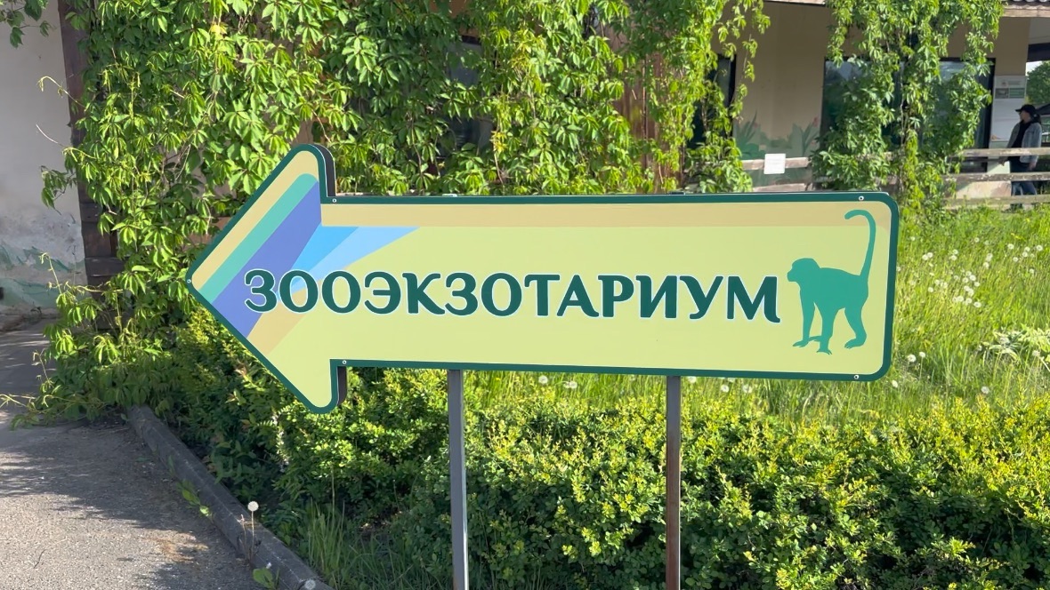 Ярославский зоопарк. Часть 4. Идём в зооэкзотариум.