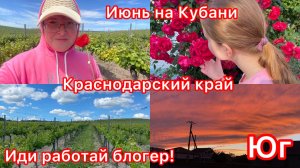 Купили дом. Вышла на работу. В гости на чай. Работа и дом . Жизнь на юге.