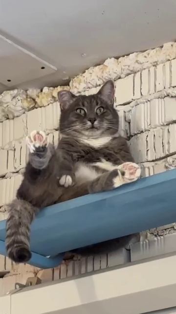 Я же утюг не выключил