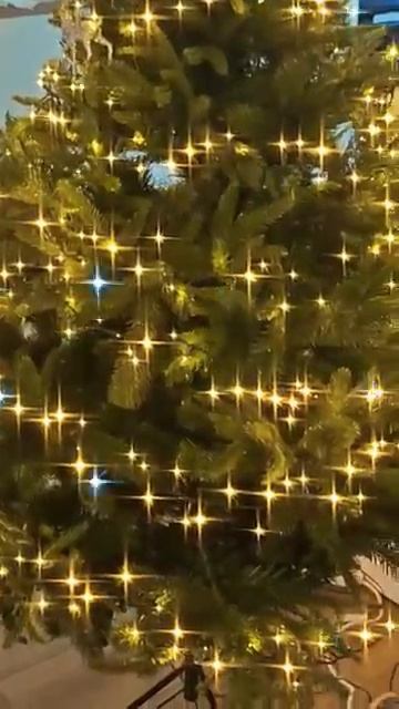 Вы знали об этом #lifehacks #christmastree 🆎 Alex Boyko! смотреть онлайн