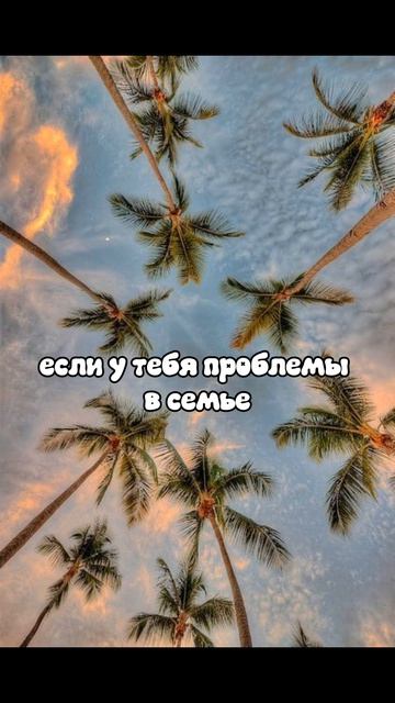 1000034533.mp4