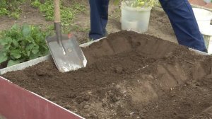 «Во саду ли, в огороде» ( Выпуск от 05.06.2026)