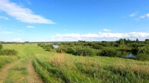 ОЗ.Тачкино крупный карась,рыбалка.