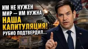 Хоккей, посылки, «Хорнеты»: как «дух Анкориджа» превратился в американские ракеты над Питером