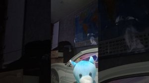 минм маразм