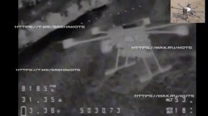 «Ягоцид» под Добропольем.