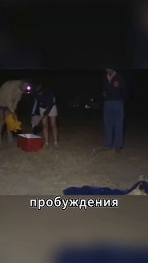 Львица была при смерти… Спасение изменило всё