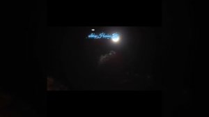 не жди, ему ты не нужна..Слова и голос Нонна Т#мущыка#песняклип#любовь#любимпеть#мелодияпесня
