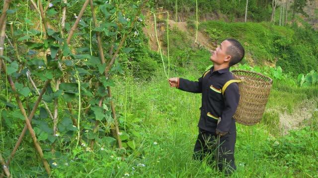Семья карликов собирает урожай кукурузы  делает запасы на зиму  Survival Life