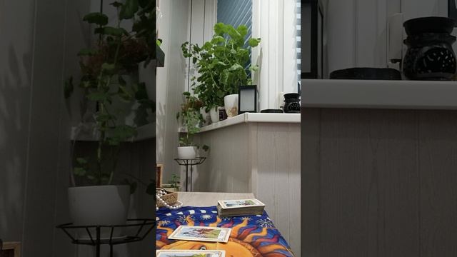 Карта дня смотреть онлайн