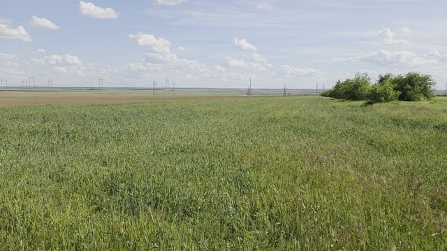 Земельный участок 6,55 Га, Зимовниковский район, Верхнесеребряковское с/п смотреть онлайн