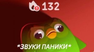 Когда забыл пройти урок в дуолинго и вспомнил об этом в 23:59