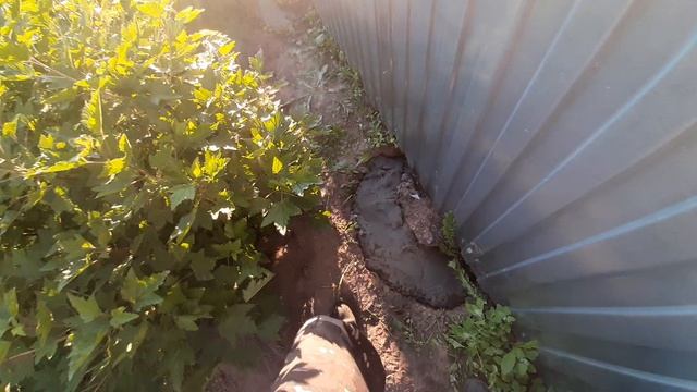  Доброе утро. 
Вчера мы из пьяного забора сделали трезвый  Ставим лайки подписываемся на на