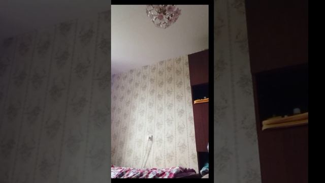 рубрика оцениваем с Владом чееееееееек чебуреееееееееееек