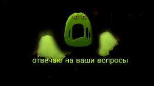 отвечаю на ваши вопросы