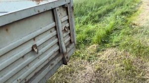 Установили  электропастуха на выпасе