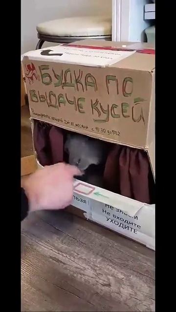 Будка по выдаче кусей