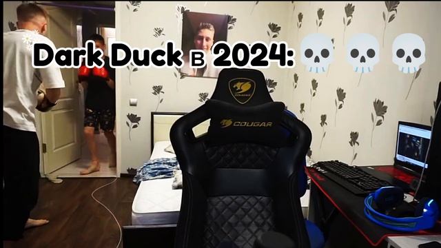 Dark Duck в 2026 vs 2024